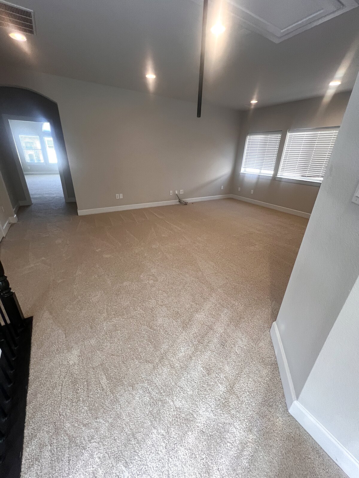 Open loft with brand-new carpet