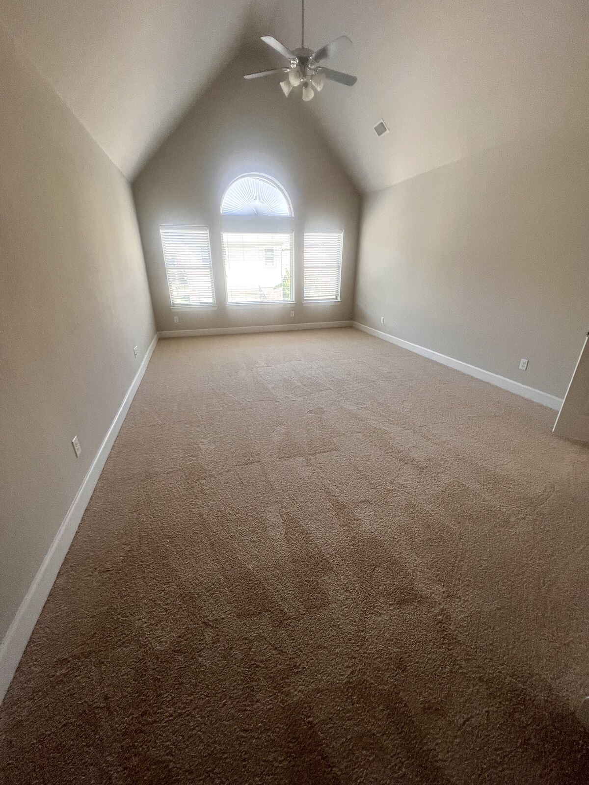 Bedroom with brand-new plush carpet under a vaulted ceiling and arched window